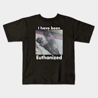 I Have Been Euthanized Funny Cat Meme Kids T-Shirt